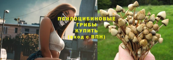 молекула духа Заволжье