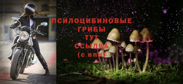 ECSTASY Заволжск