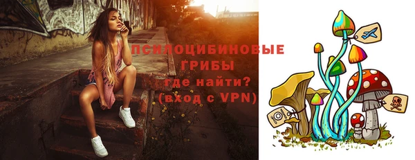молекула духа Заволжье