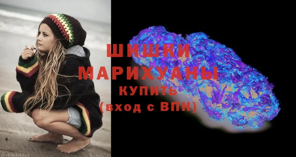 молекула духа Заволжье
